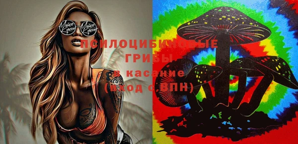 ПСИЛОЦИБИНОВЫЕ ГРИБЫ Гусиноозёрск